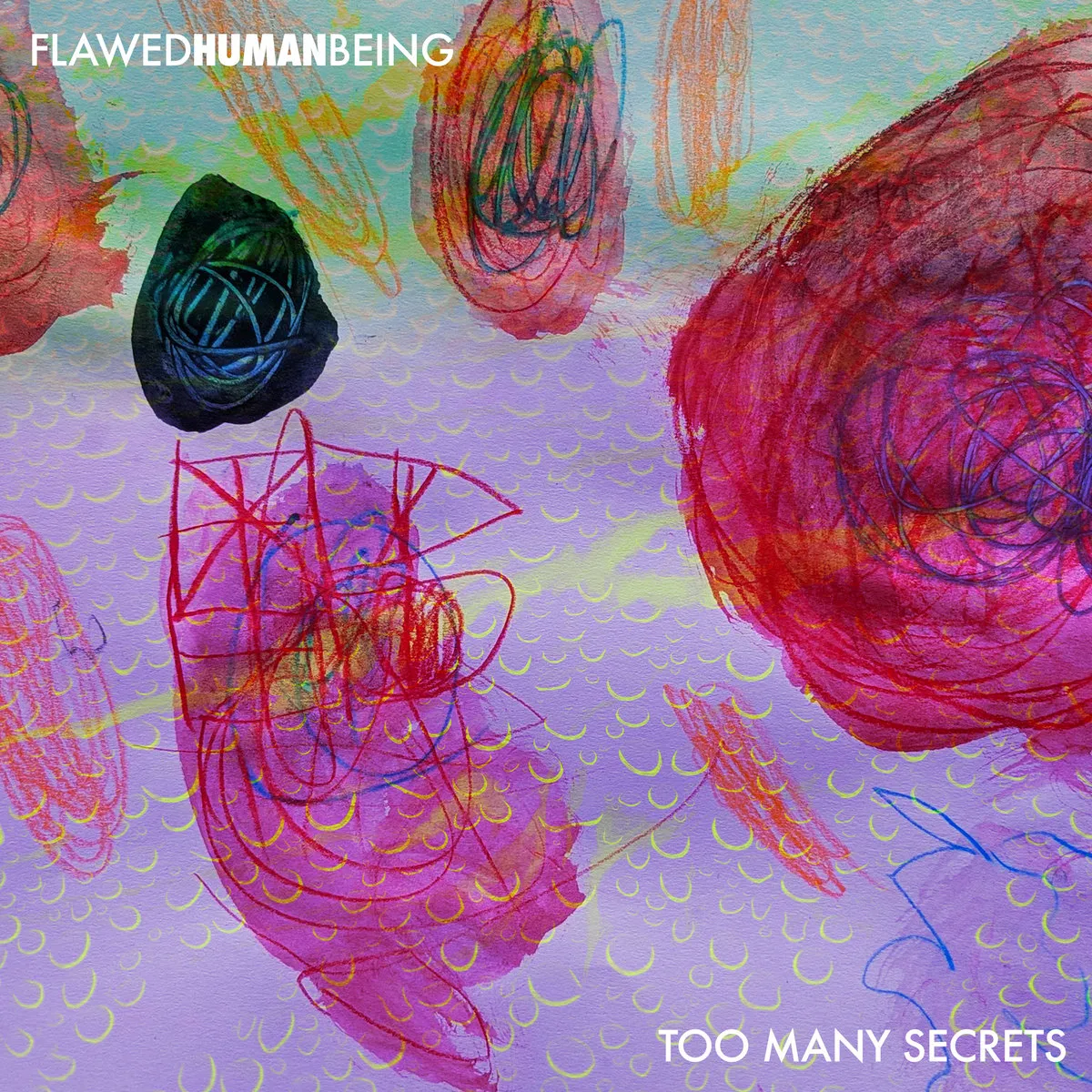 Too Many Secrets Album Cover